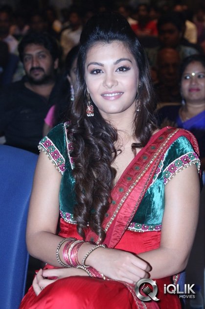 Nee-Jathaga-Nenundali-Movie-Audio-Launch